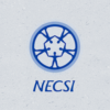 NECSI